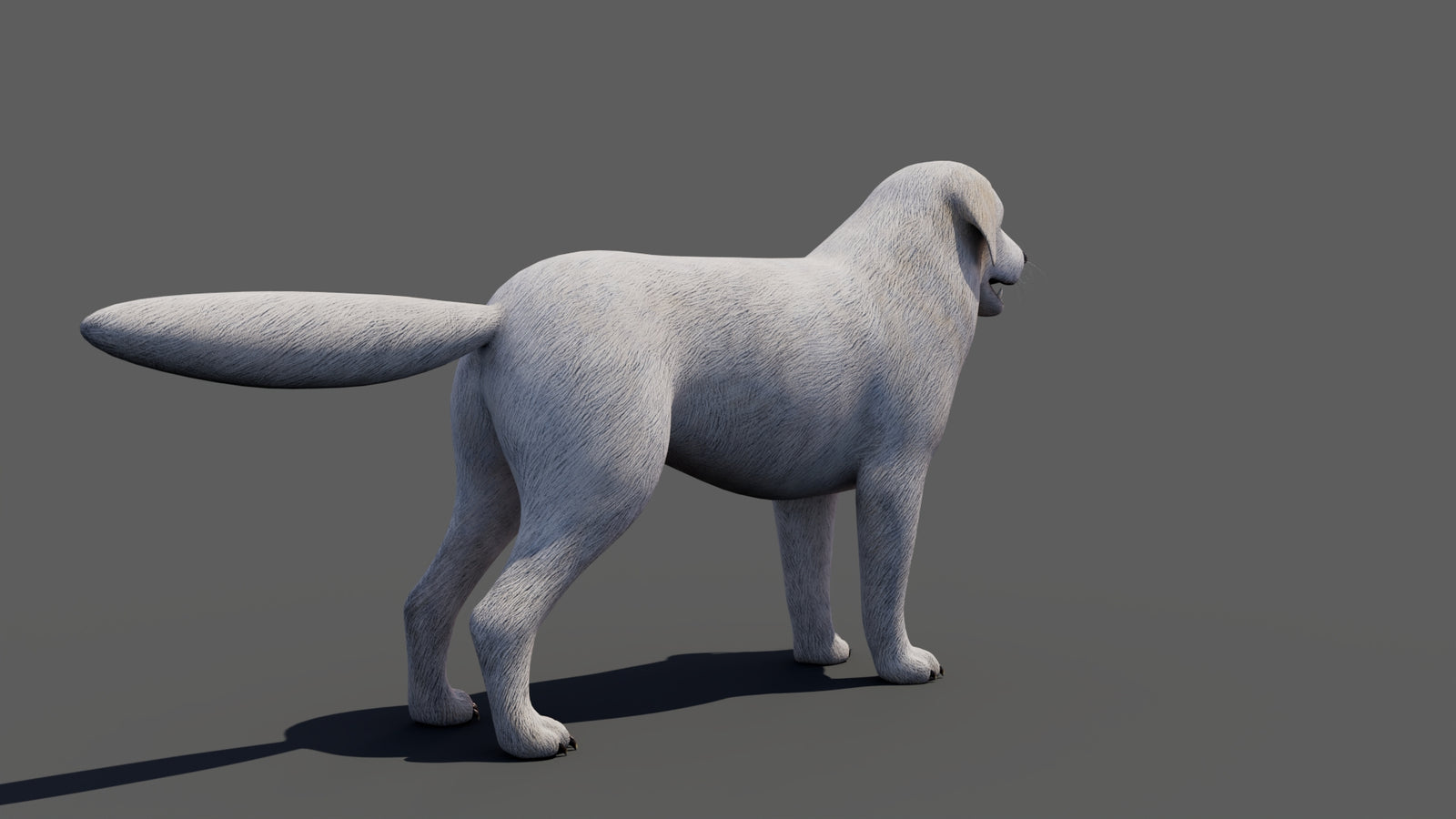 Great Pyrenees Dog 3D Model 360° view 1 frame 22