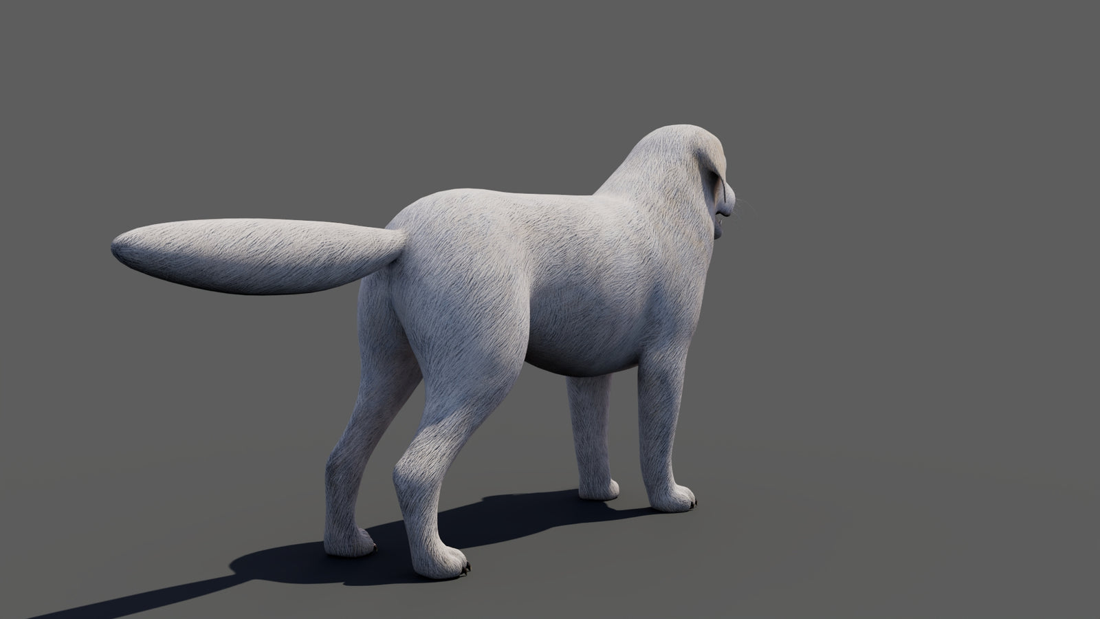 Great Pyrenees Dog 3D Model 360° view 1 frame 23