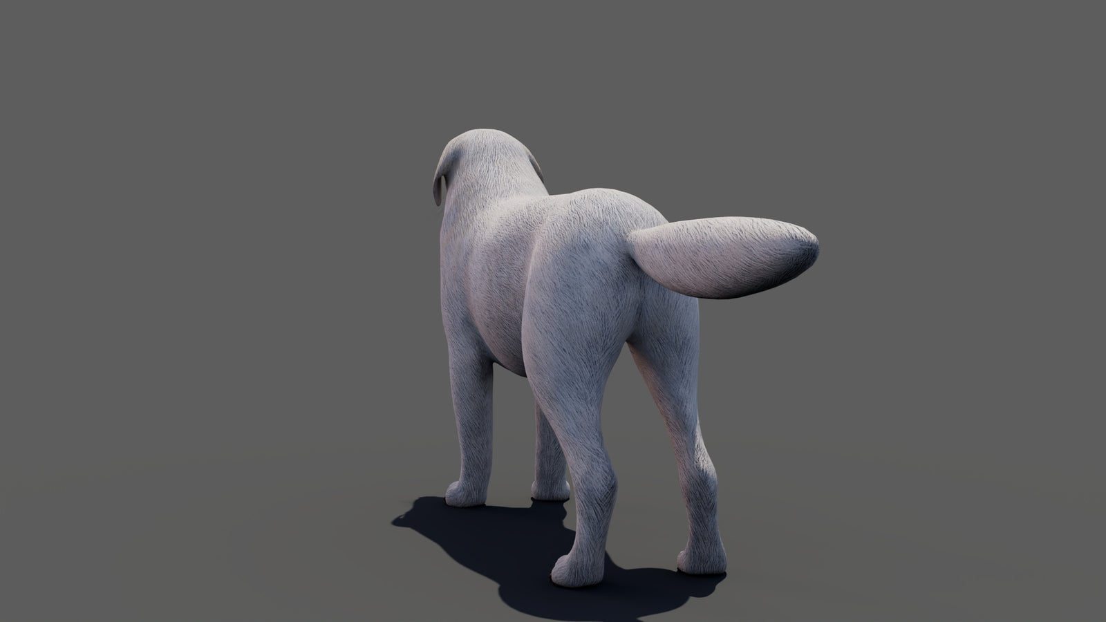 Great Pyrenees Dog 3D Model 360° view 1 frame 29