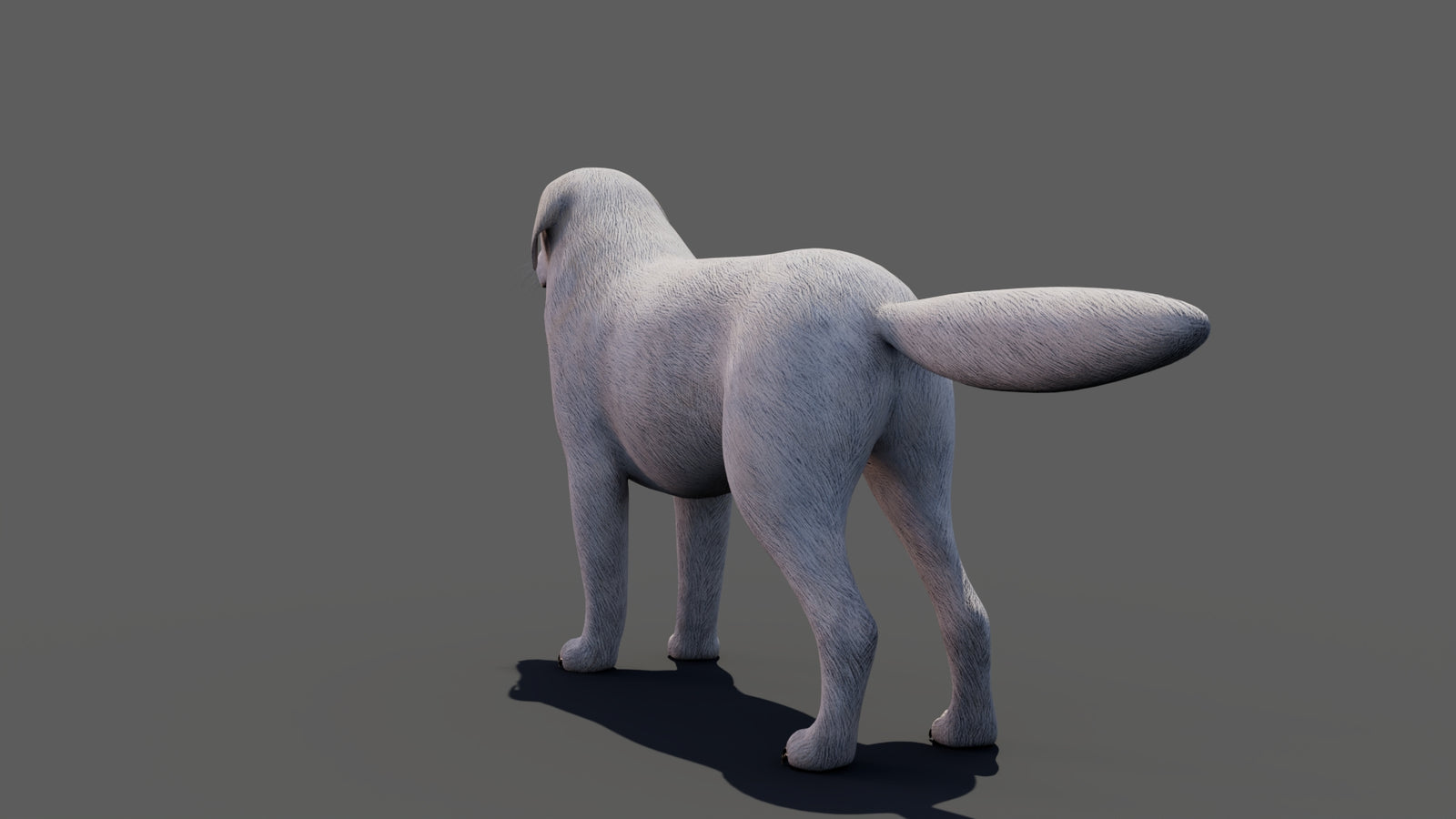 Great Pyrenees Dog 3D Model 360° view 1 frame 30