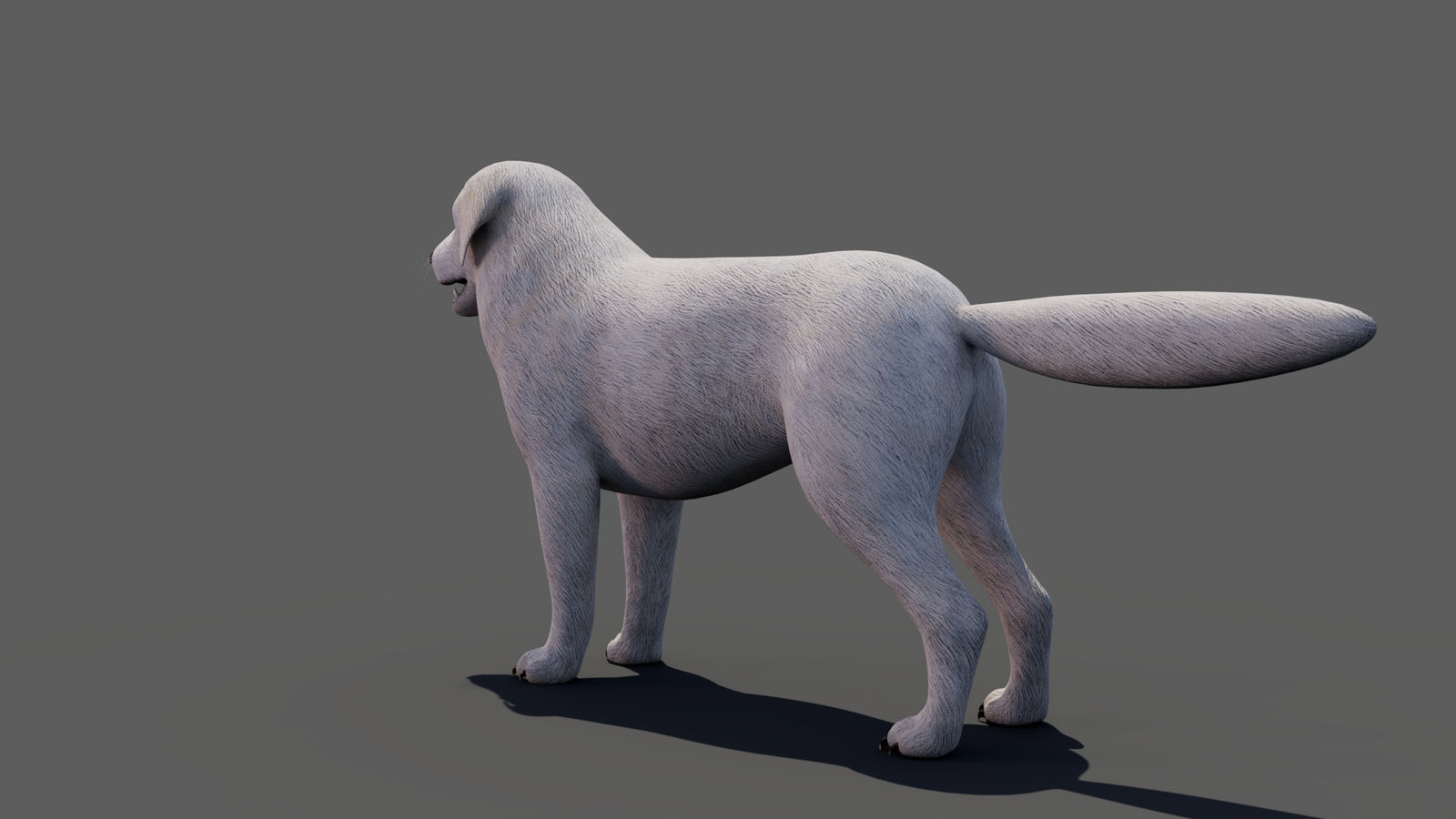 Great Pyrenees Dog 3D Model 360° view 1 frame 32