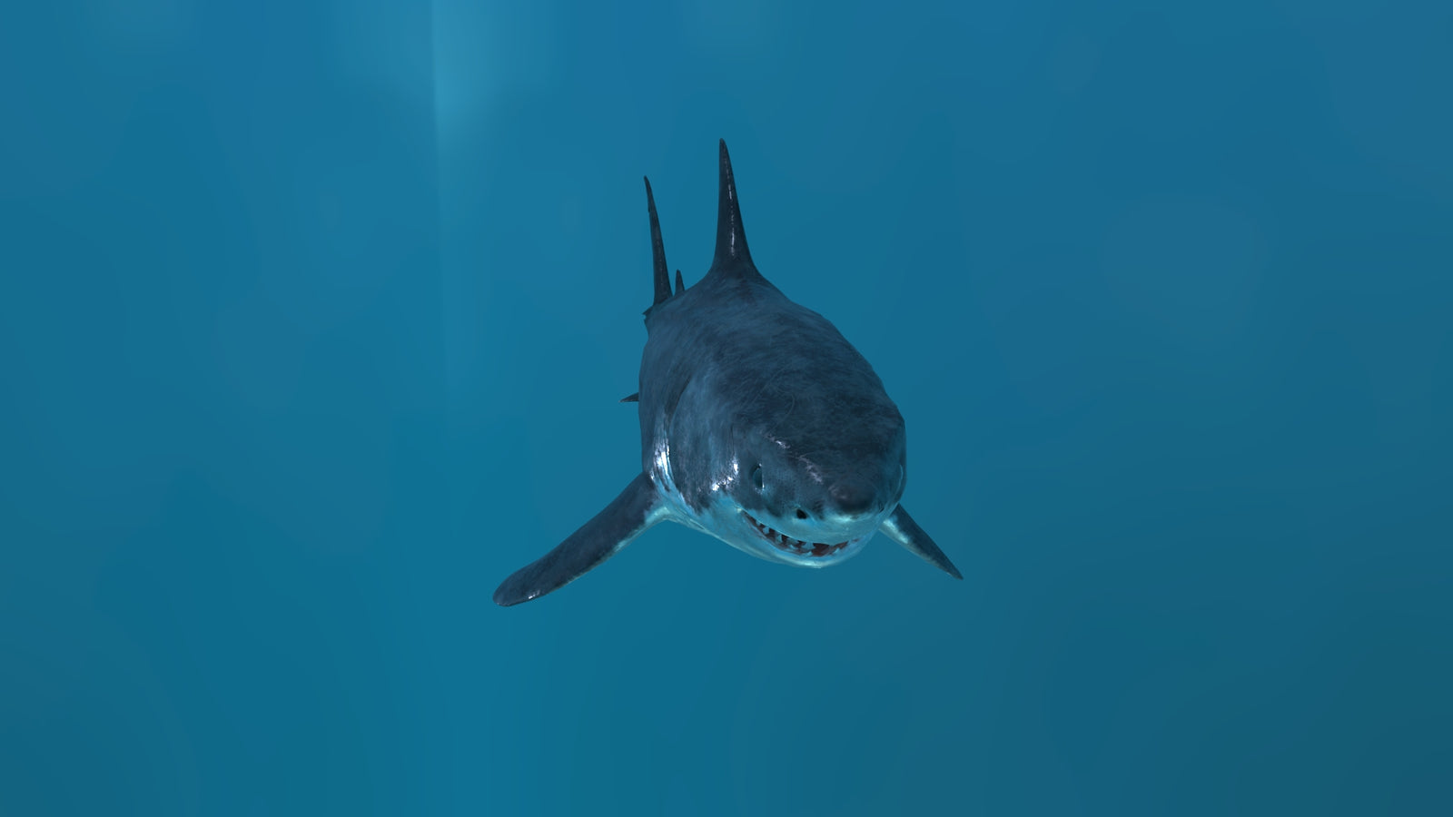 Animated Great White Shark 3D Model 360° view 2 frame 10