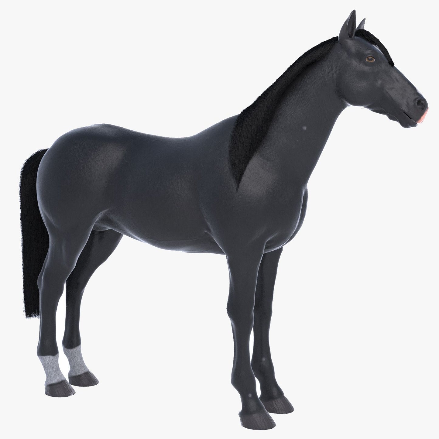 Horse Black 3D Model
