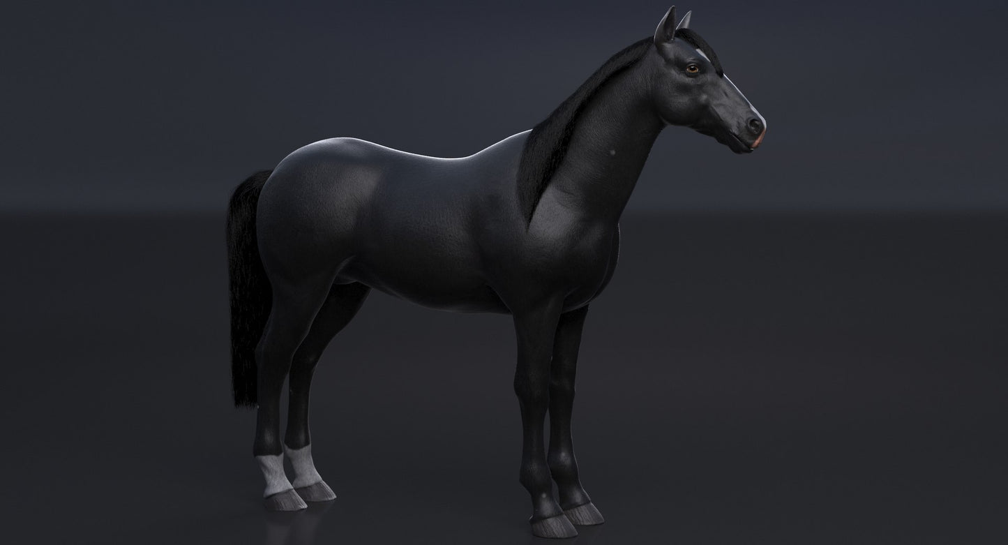 Black Horse 3D Model