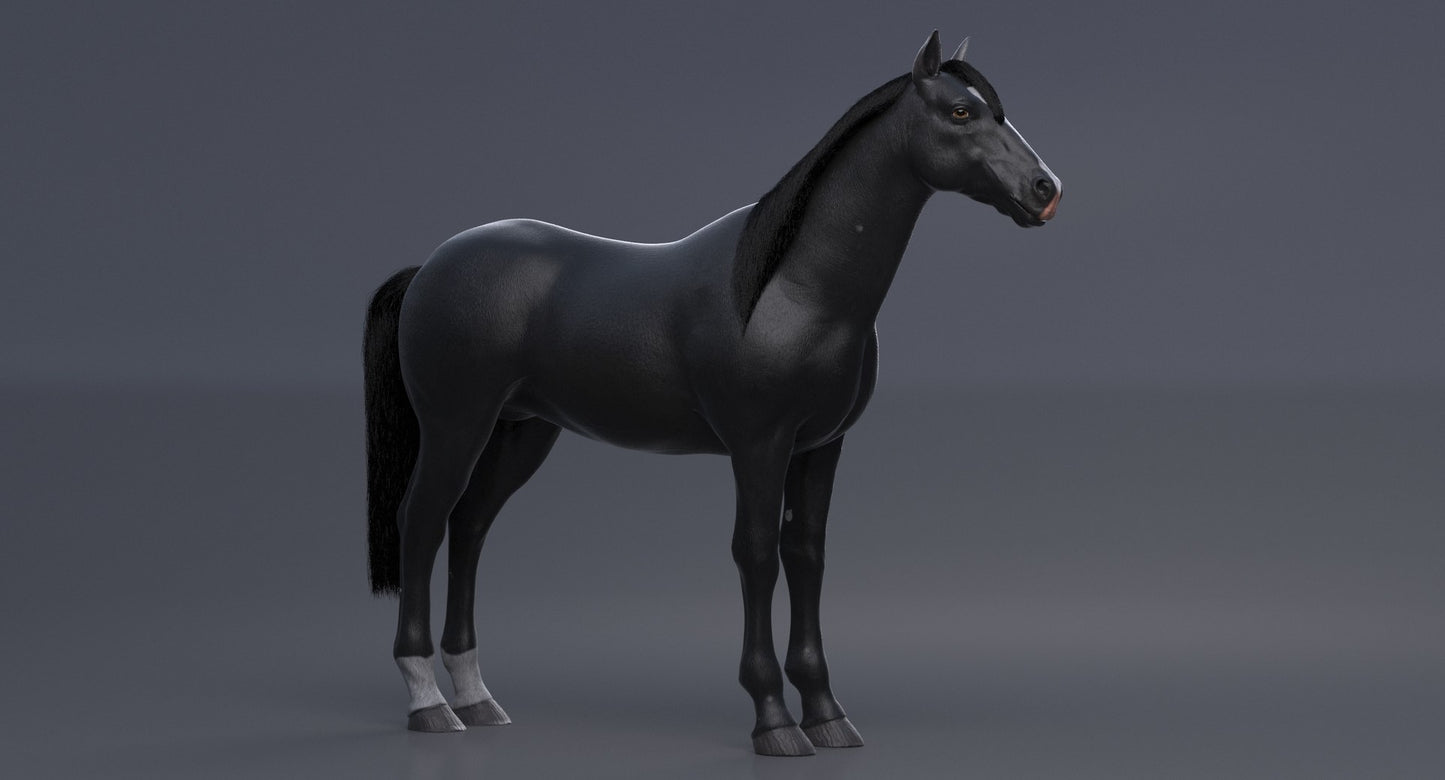 Horse Black 3D Model
