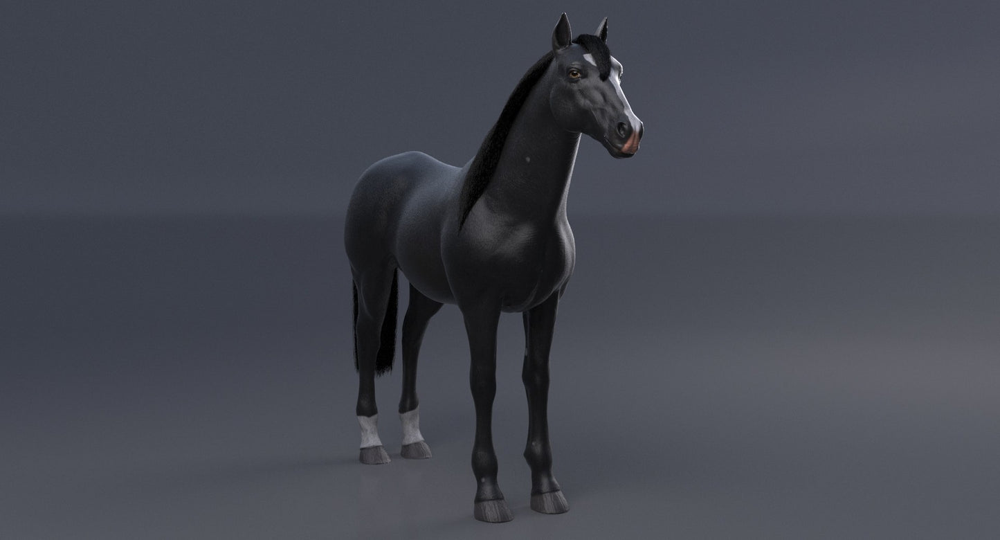 Horse Black 3D Model