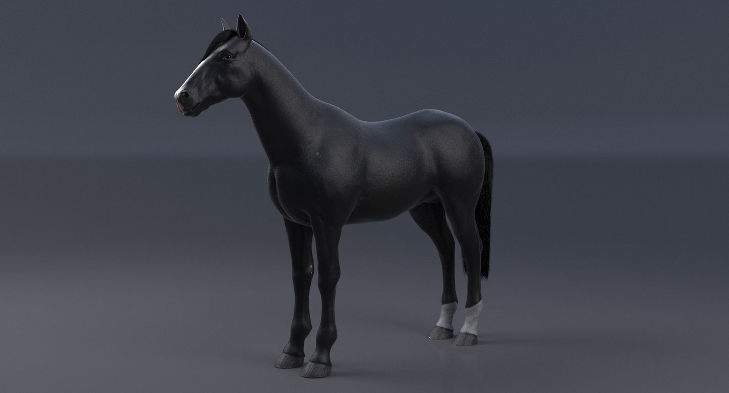 Horse Black 3D Model