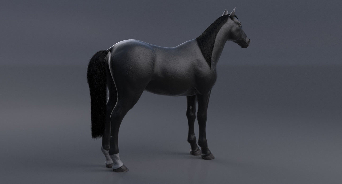 Horse Black 3D Model
