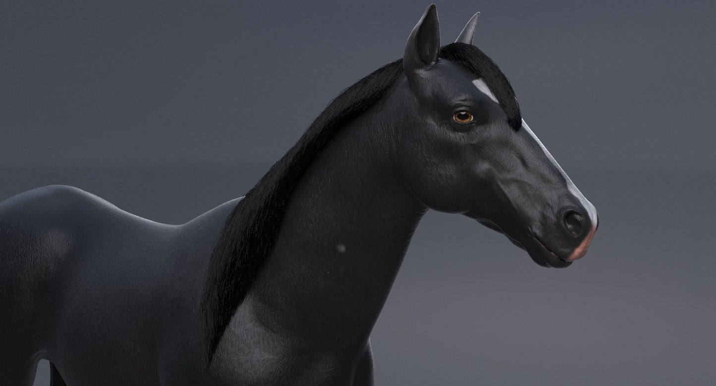 Horse Black 3D Model