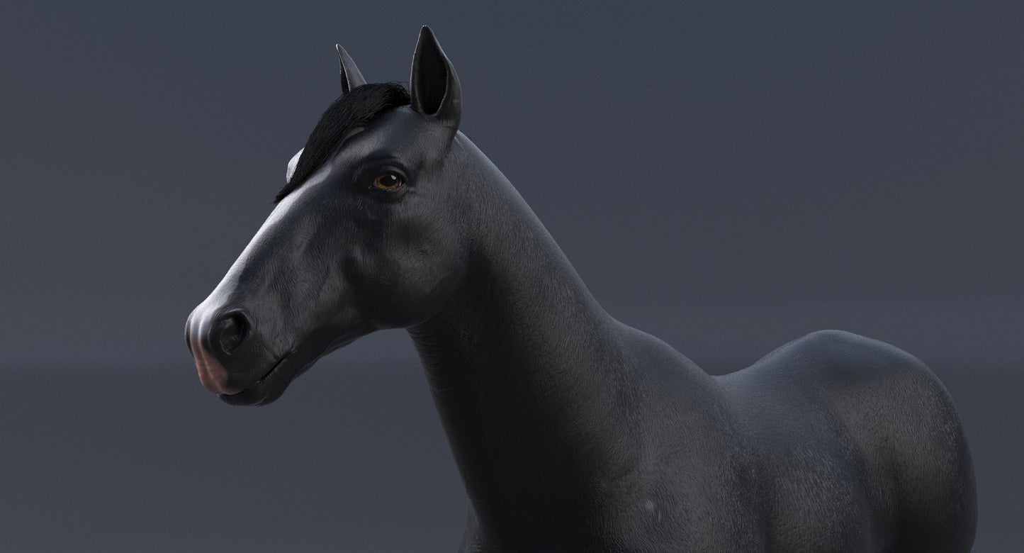 Horse Black 3D Model