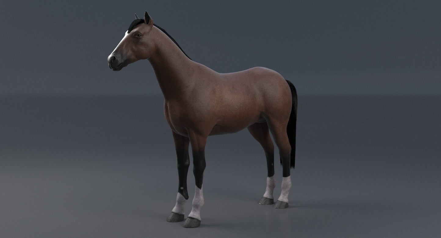 Horse Brown 3D Model