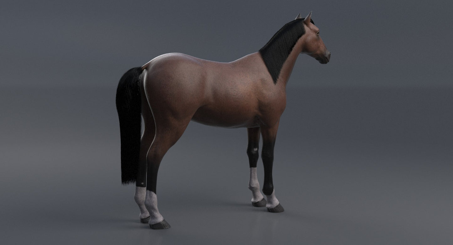 Horse Brown 3D Model