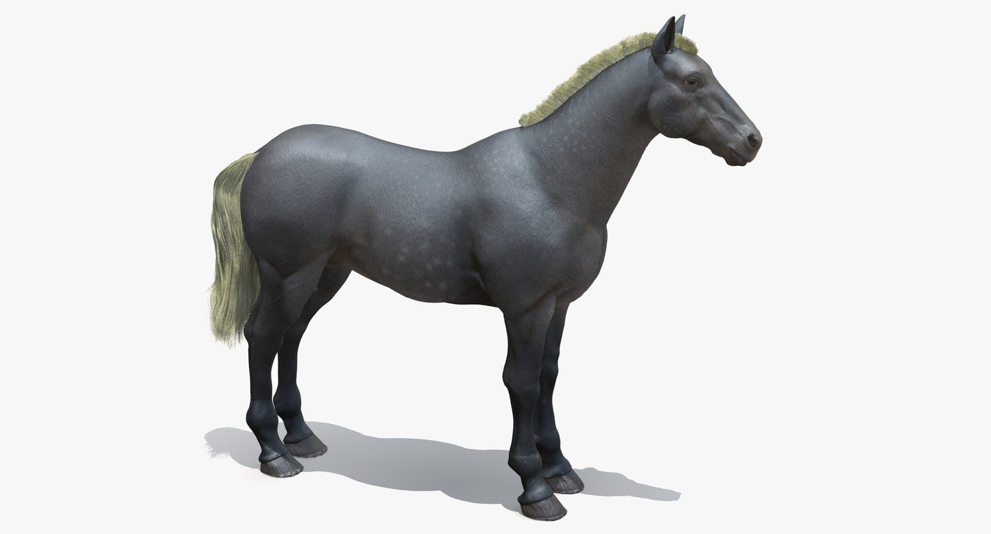 Horse Grey 3D Model