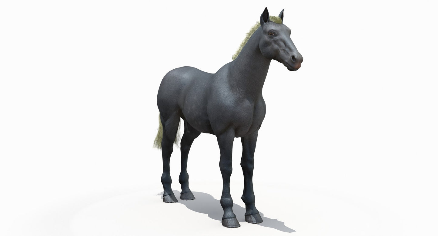 Grey Horse 3D Model