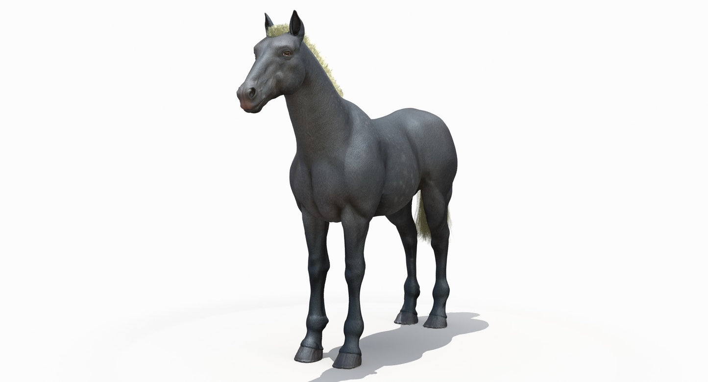 Horse Grey 3D Model