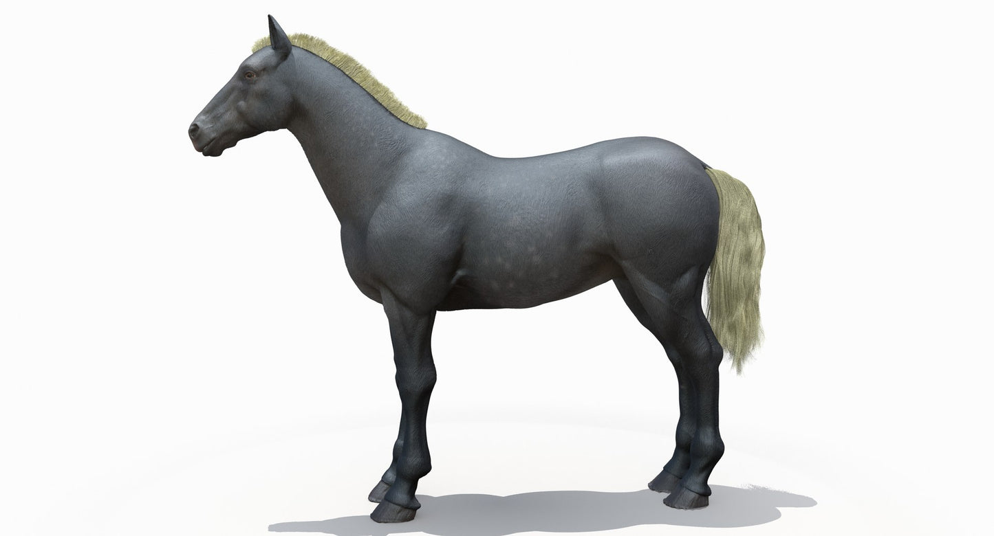 Horse Grey 3D Model