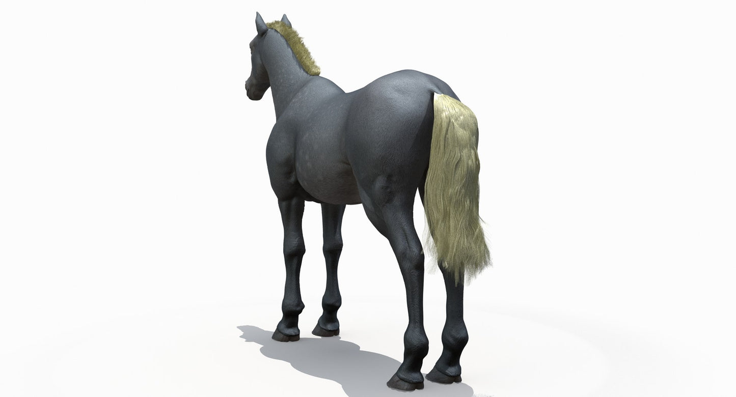 Horse Grey 3D Model