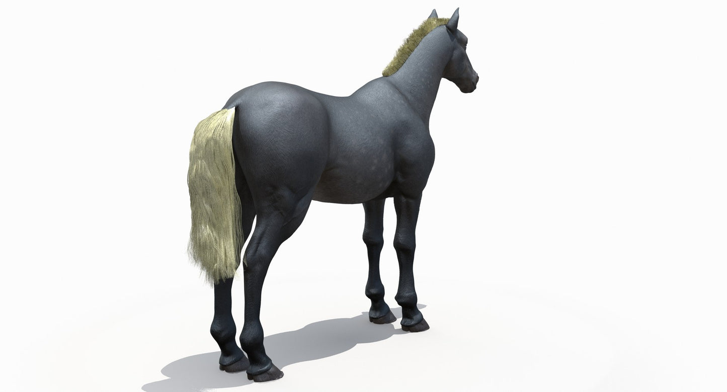 Horse Grey 3D Model