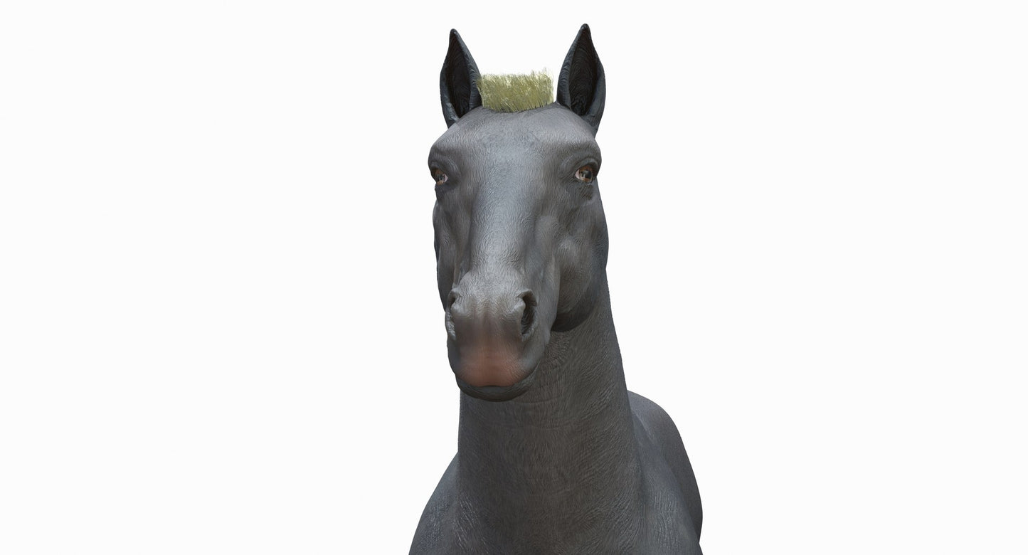 Grey Horse 3D Model for Download
