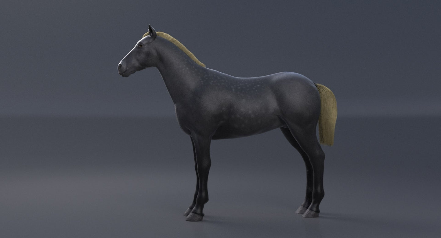 Horse Grey 3D Model