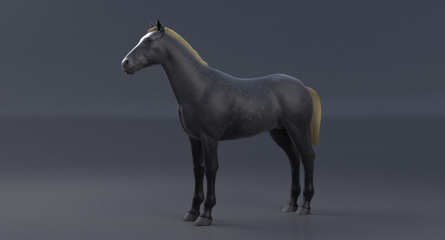 Horse Grey 3D Model