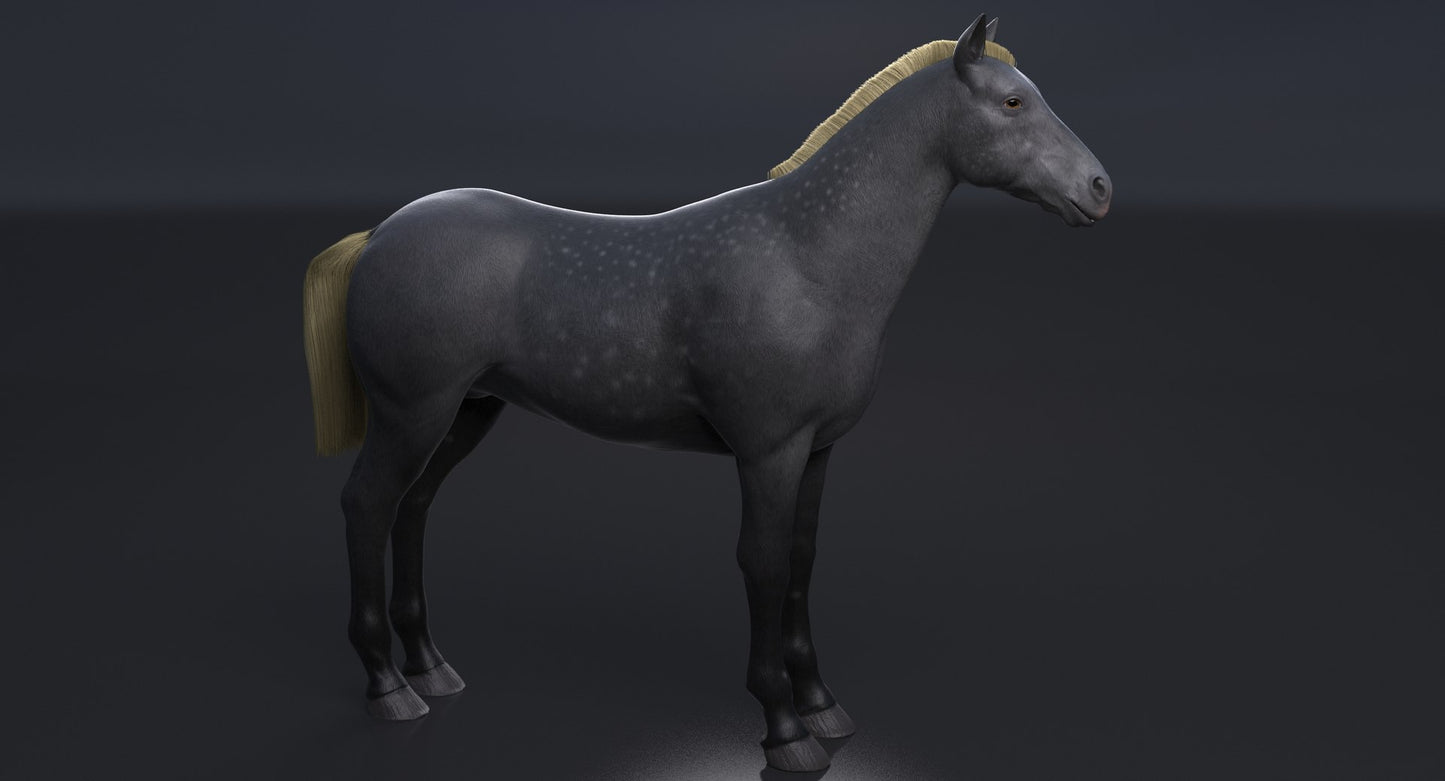 Horse Grey 3D Model