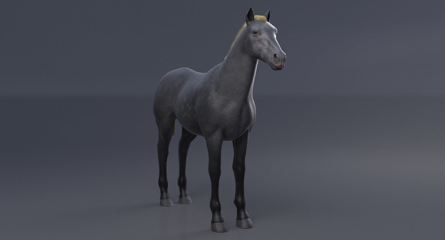 Horse Grey 3D Model