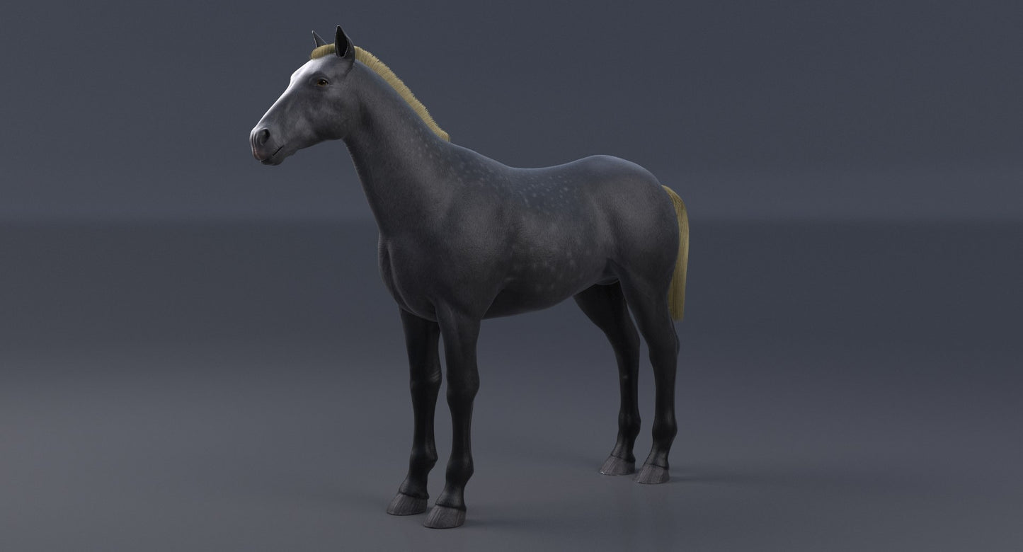 Horse Grey 3D Model