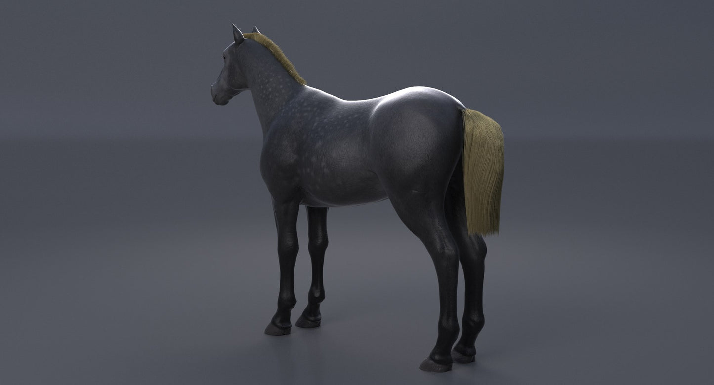 Horse Grey 3D Model