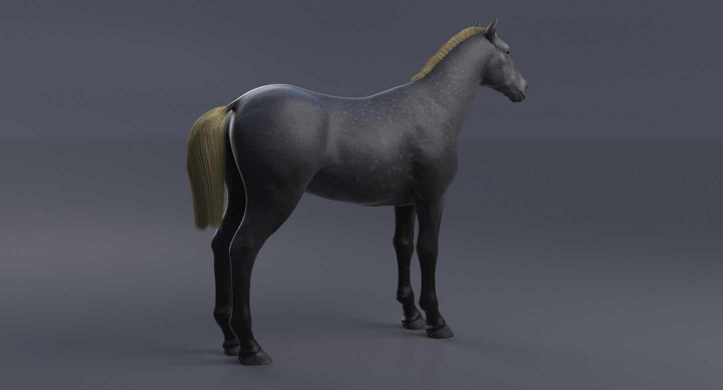 Horse Grey 3D Model