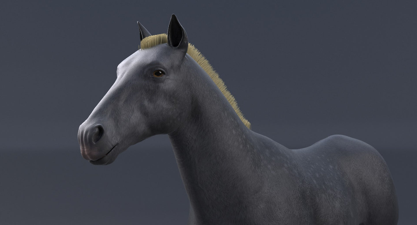 Horse Grey 3D Model
