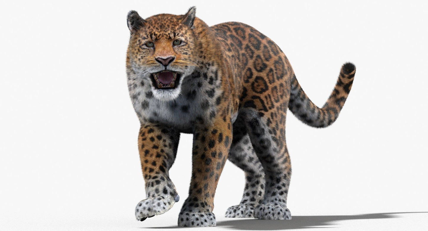 Jaguar Animated Fur 3D Model