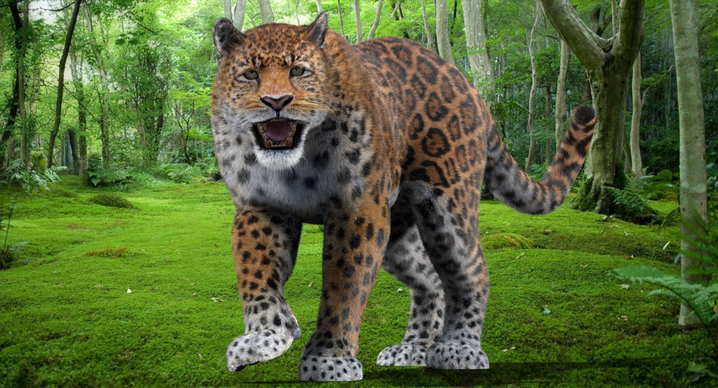 Jaguar Animated Fur 3D Model
