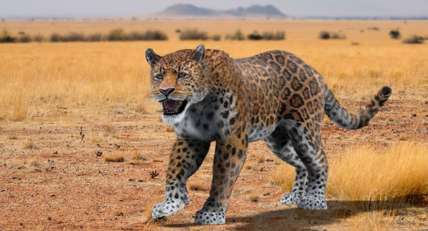 Jaguar Animated Fur 3D Model