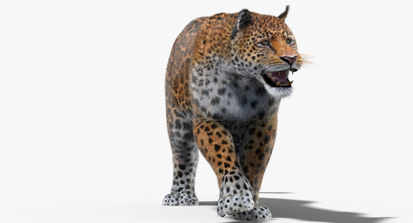 Jaguar Animated Fur 3D Model