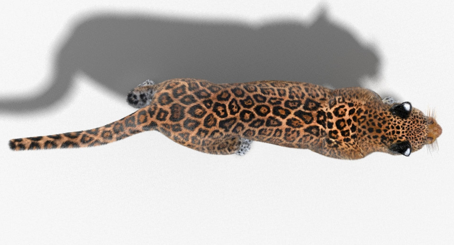 Jaguar Animated Fur 3D Model