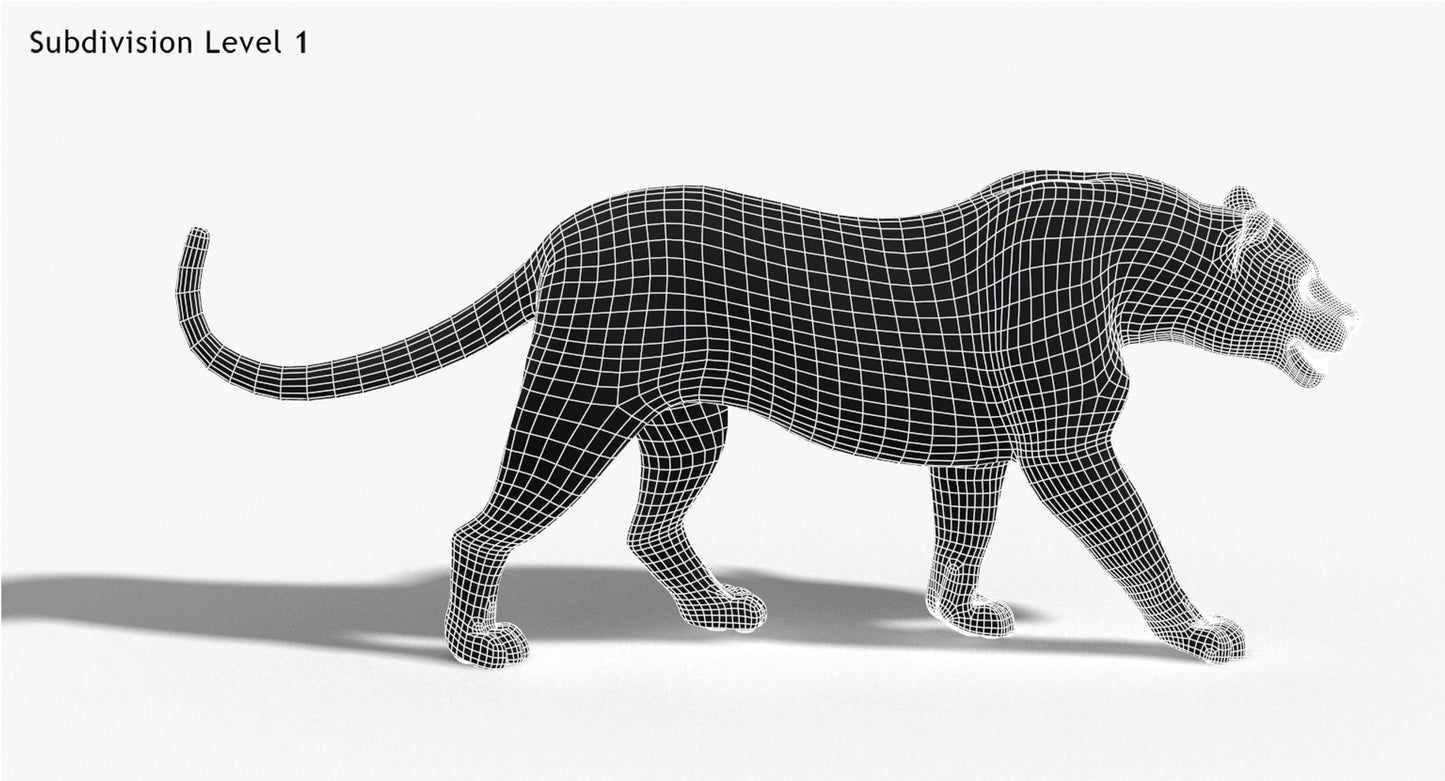 Jaguar Animated Fur 3D Model