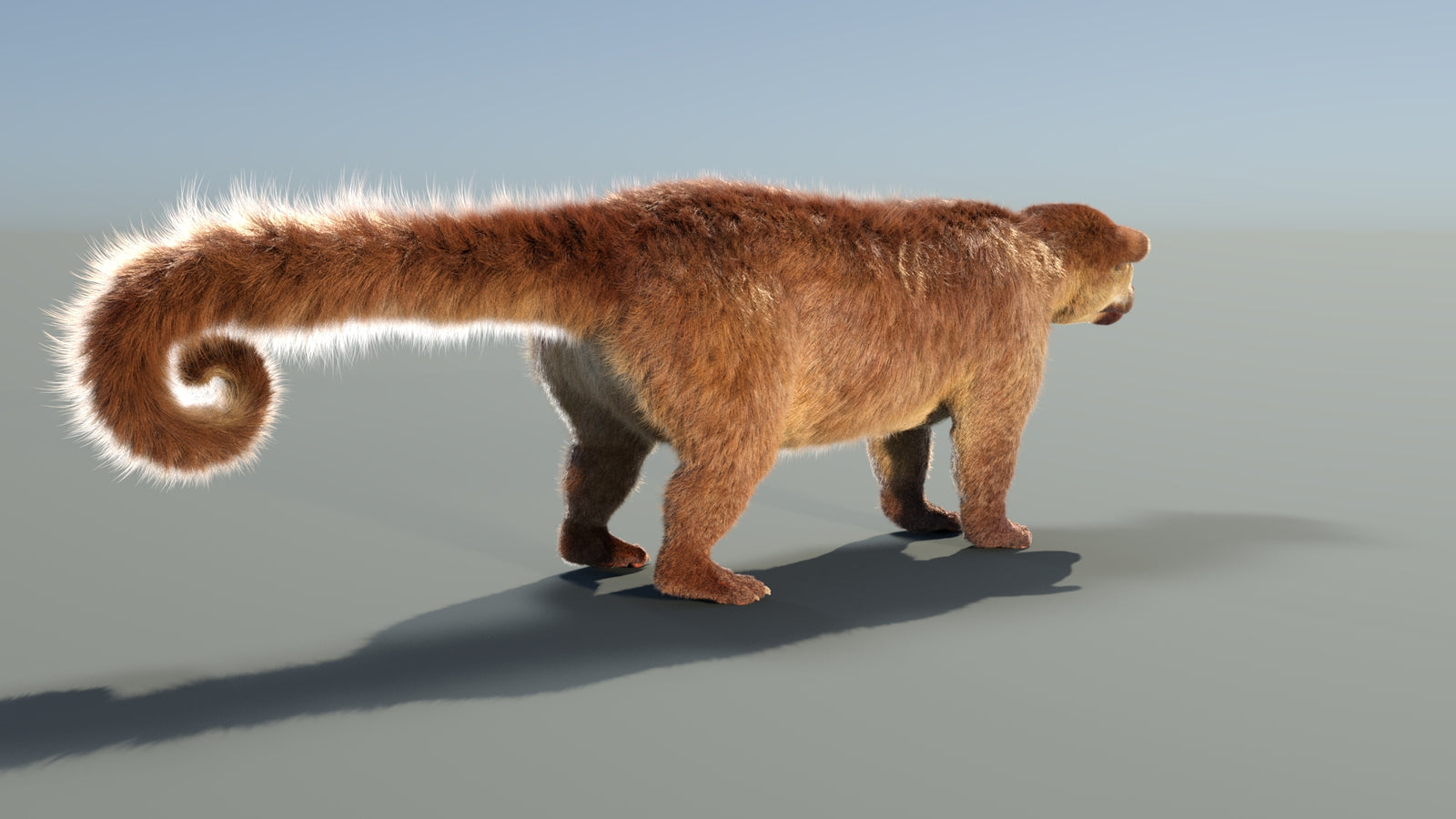 Animated Kinkajou 3D Model Fur 360° view 1 frame 21