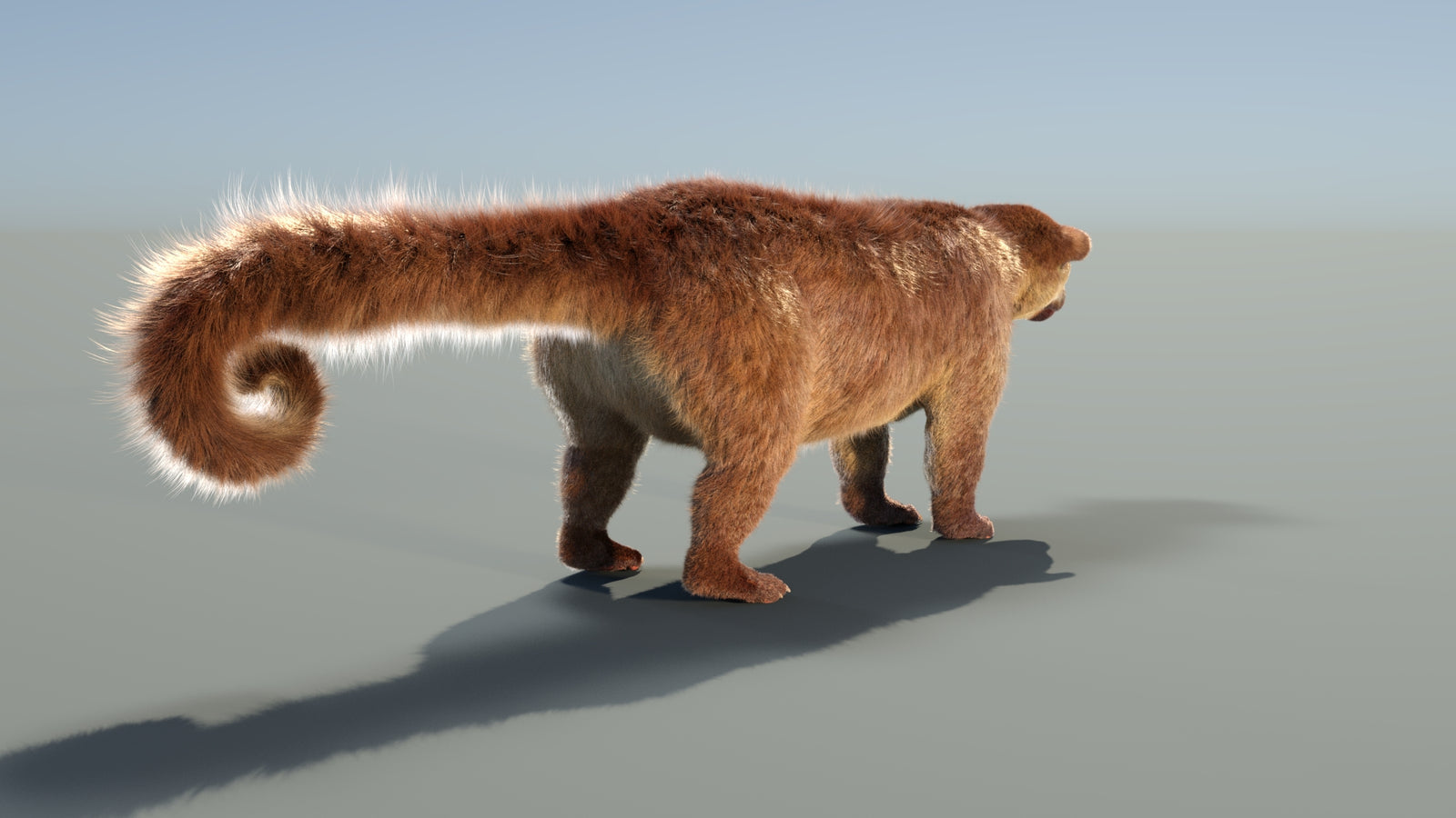 Animated Kinkajou 3D Model Fur 360° view 1 frame 22