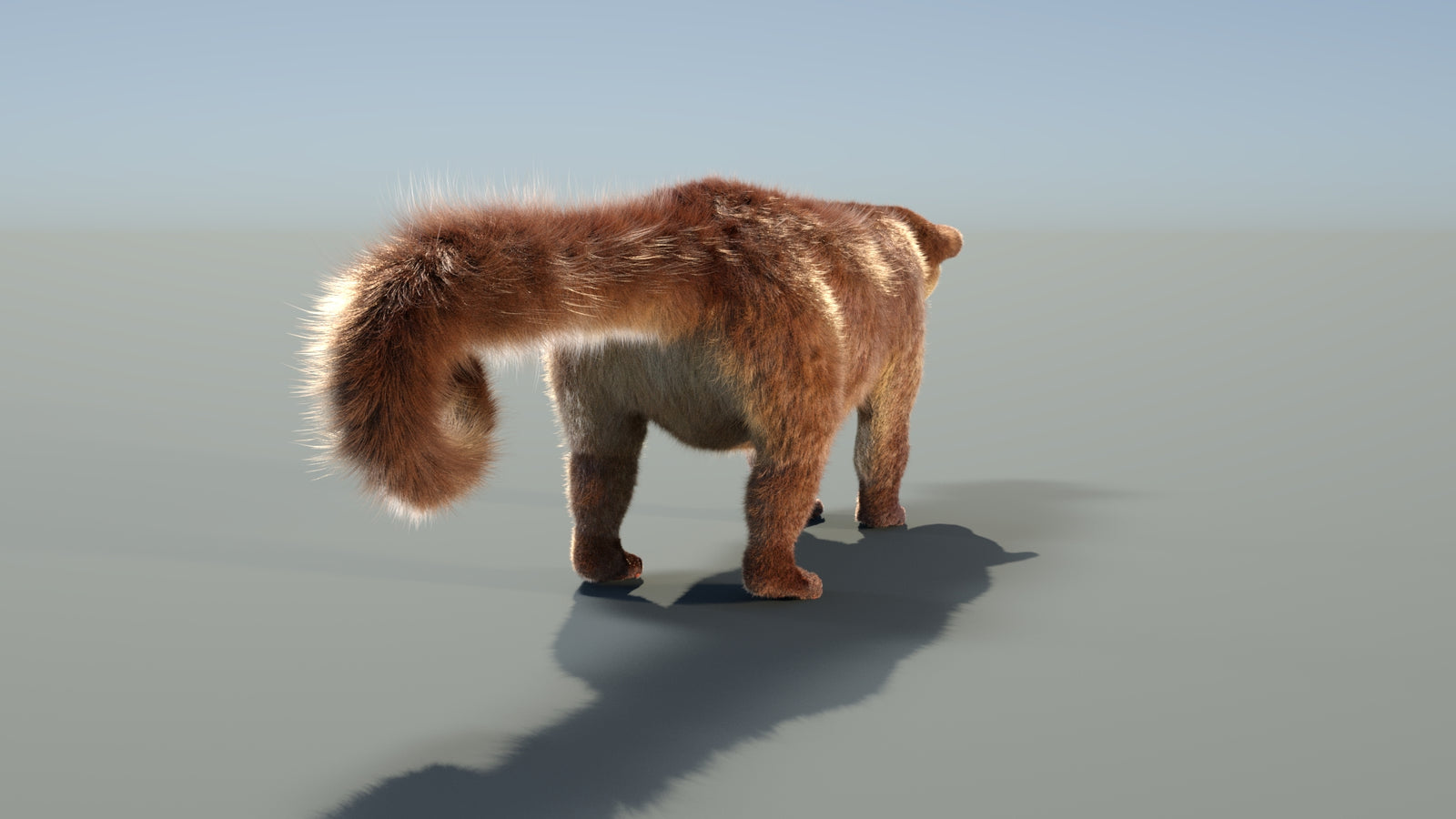 Animated Kinkajou 3D Model Fur 360° view 1 frame 24