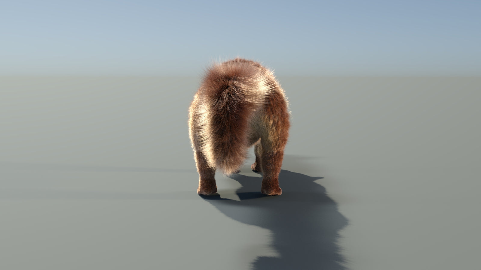 Animated Kinkajou 3D Model Fur 360° view 1 frame 26