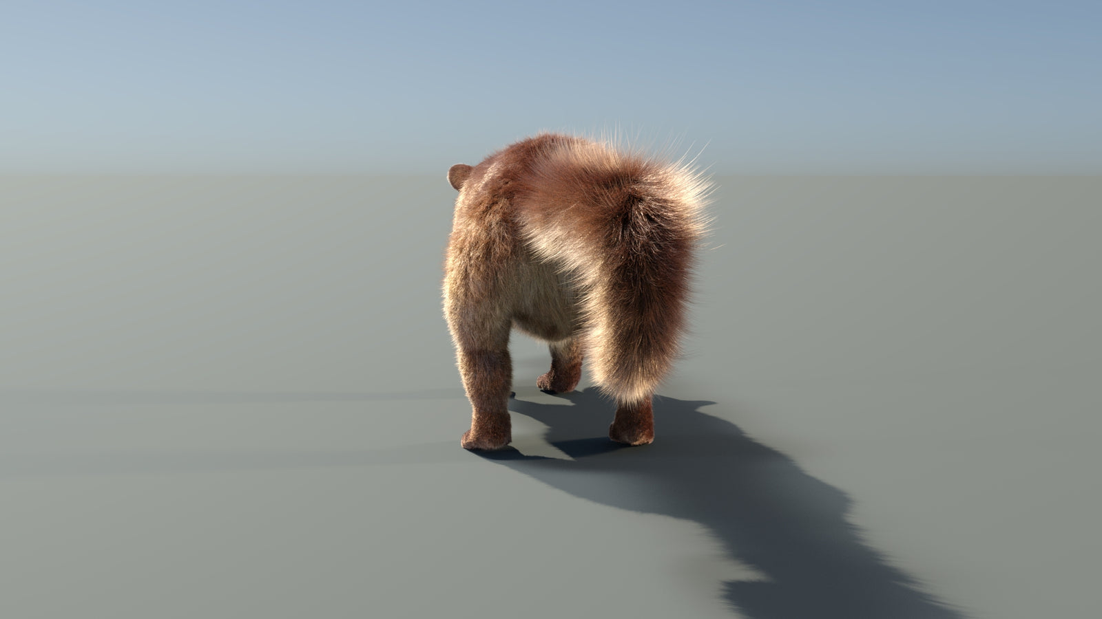 Animated Kinkajou 3D Model Fur 360° view 1 frame 27