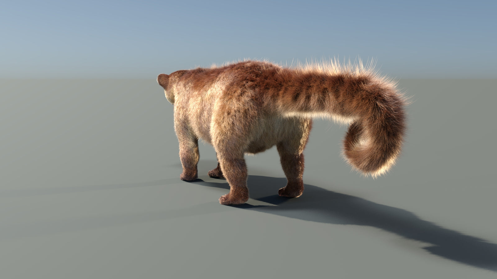 Animated Kinkajou 3D Model Fur 360° view 1 frame 29