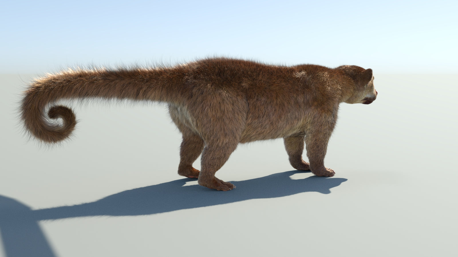Realistic Kinkajou 3D Model Animated Fur 360° view 1 frame 20