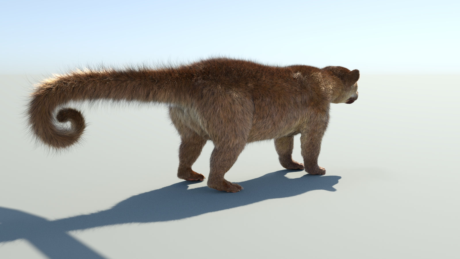 Realistic Kinkajou 3D Model Animated Fur 360° view 1 frame 21