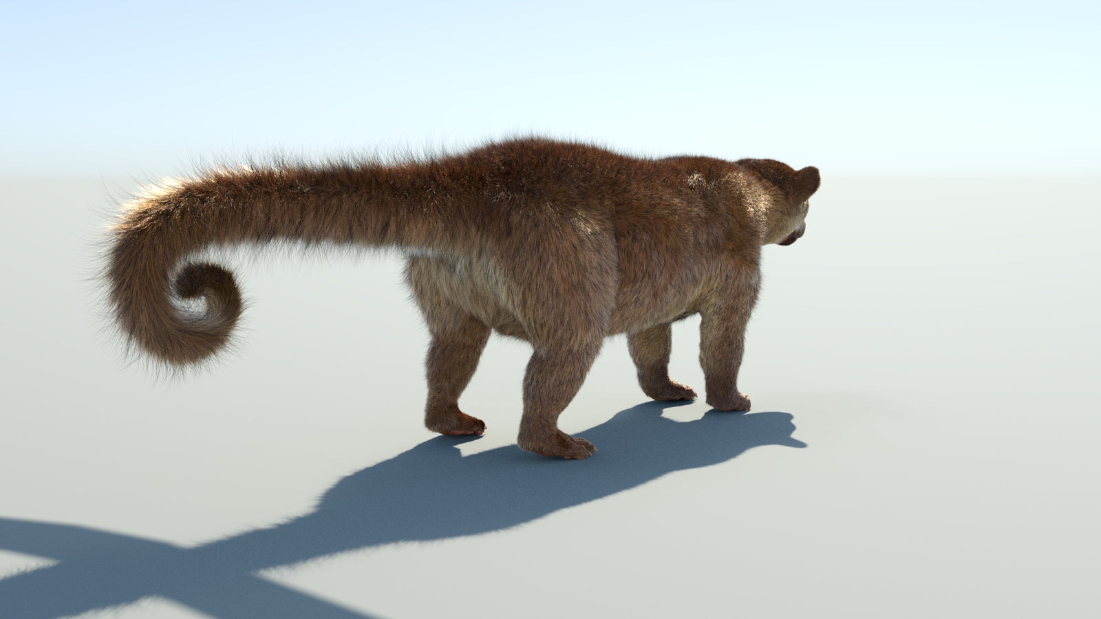 Realistic Kinkajou 3D Model Animated Fur 360° view 1 frame 22