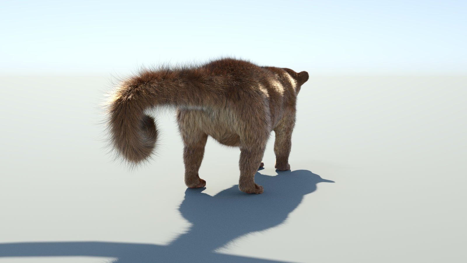 Realistic Kinkajou 3D Model Animated Fur 360° view 1 frame 24