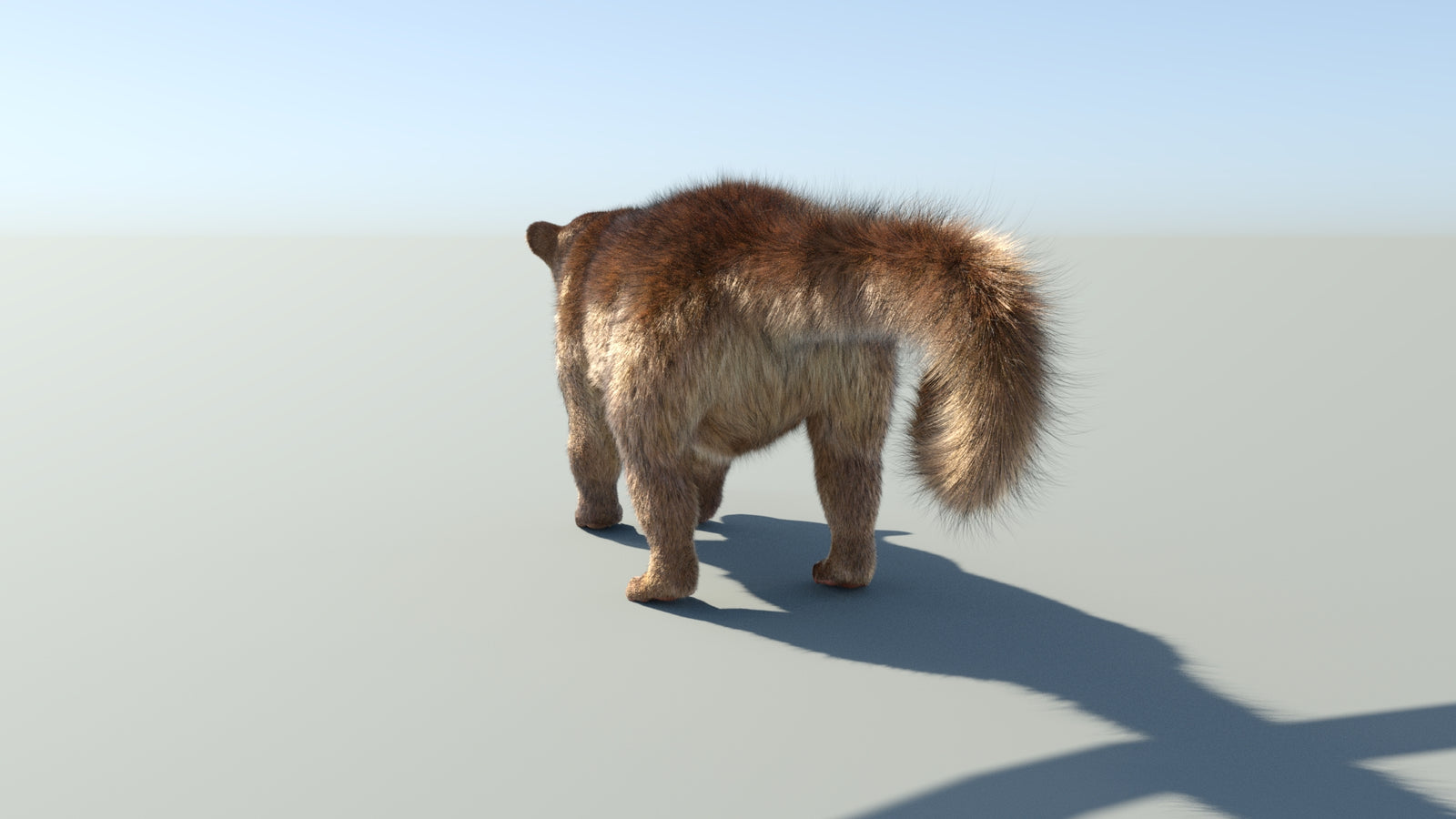 Realistic Kinkajou 3D Model Animated Fur 360° view 1 frame 28