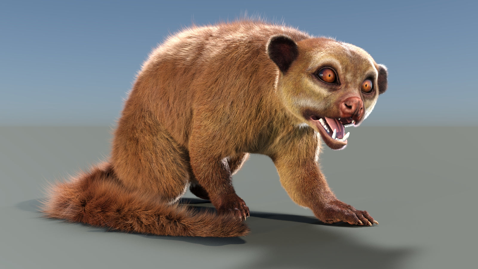 Animated Kinkajou 3D Model Fur 360° view 2 frame 2