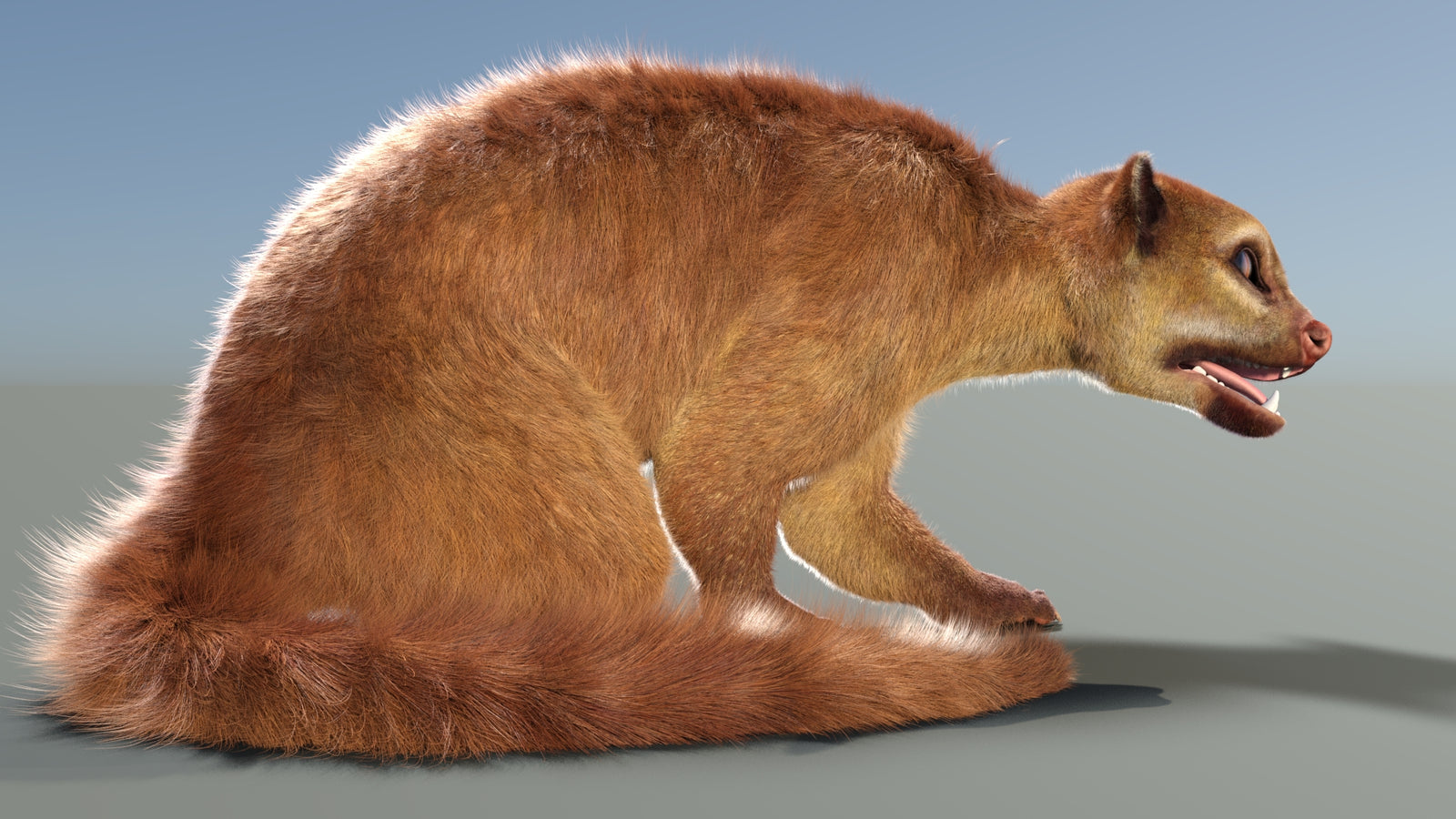 Animated Kinkajou 3D Model Fur 360° view 2 frame 8